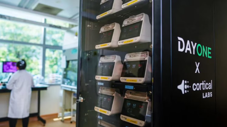 Un centro de datos en Singapur ya procesa información con neuronas humanas vivas Un centro de datos en Singapur ya procesa información con neuronas humanas vivas