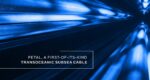 Meta, NEC y Sumitomo van a tender el primer cable submarino que mueve un petabit por segundo