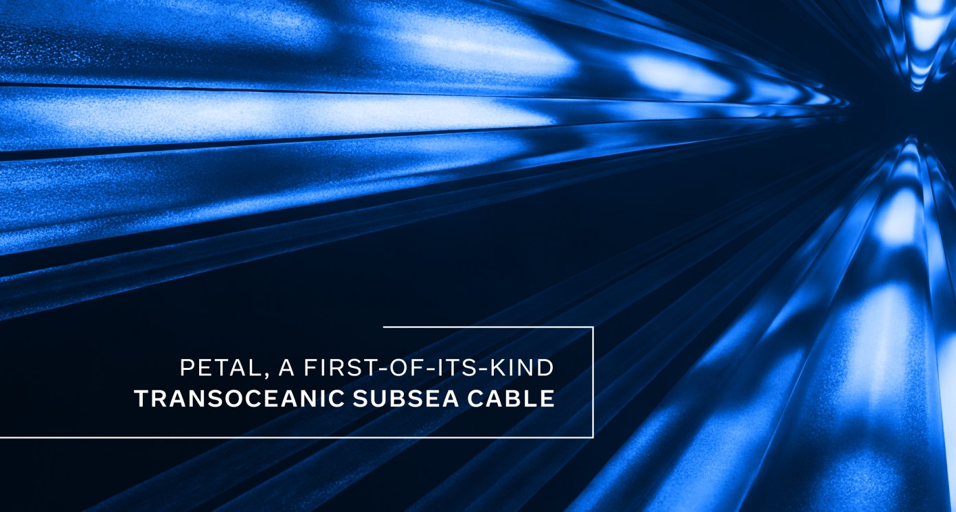 Meta, NEC y Sumitomo van a tender el primer cable submarino que mueve un petabit por segundo