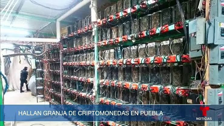 Encontraron una mina clandestina de bitcoin en México y sospechan que la maneja un cártel Encontraron una mina clandestina de bitcoin en México y sospechan que la maneja un cártel